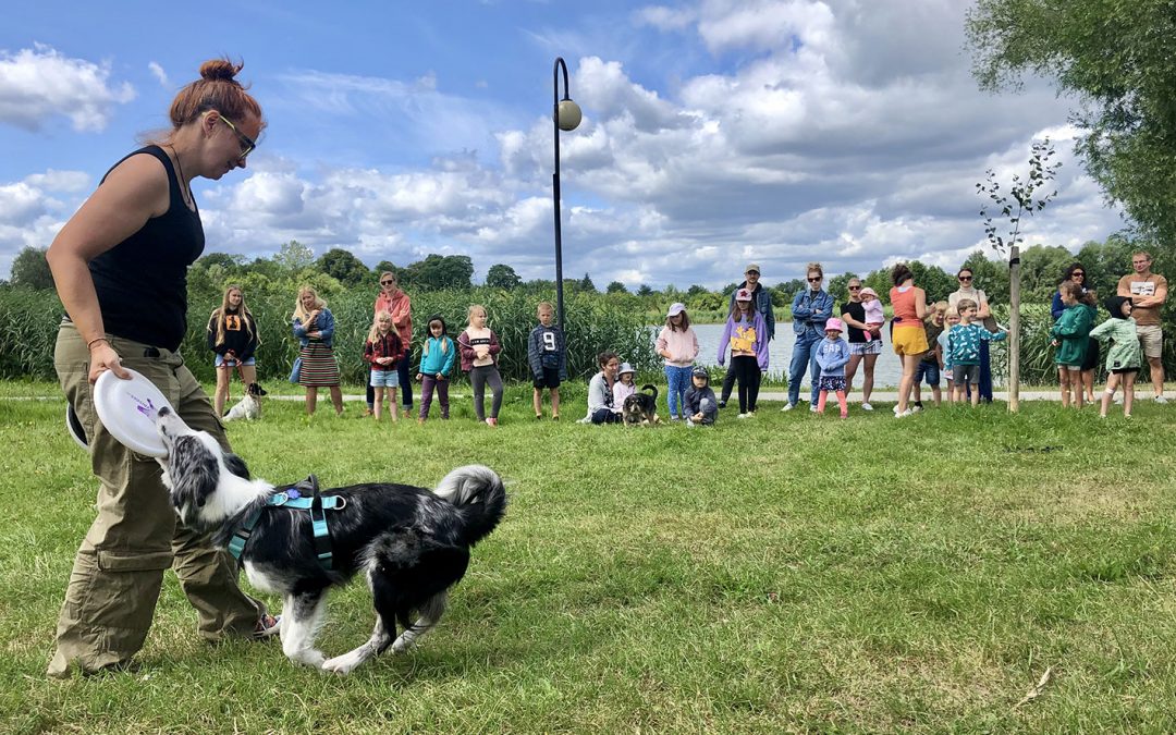 KULTURALNA STREFA RELAKSU