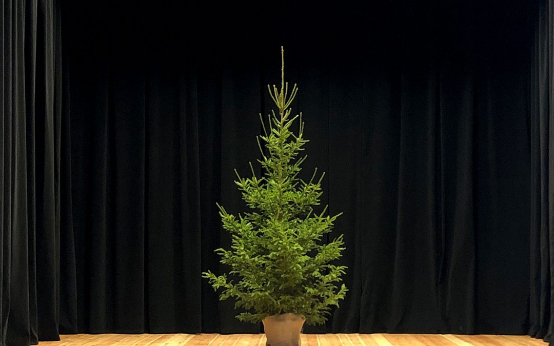 MODERNIZACJA SCENY W MOK PASYM