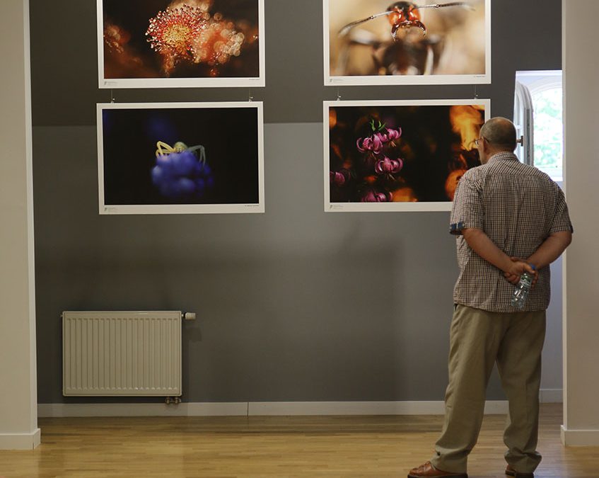 ’DOCENIĆ PRZYRODĘ’/ Związek Fotografów Przyrody Okręgu Warmińsko-Mazurskiego