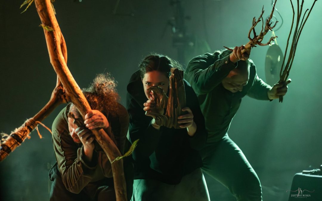Fundacja Teatr Latarnia w sztuce KWIAT PAPROCI